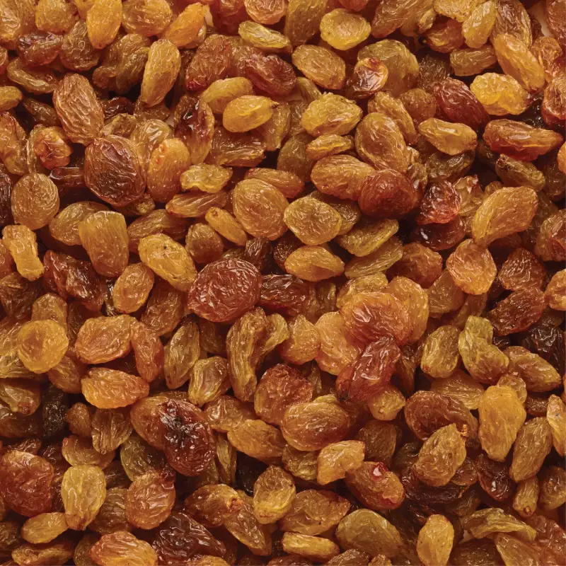 Malayar A Raisins